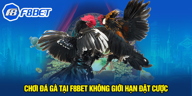 Chơi đá gà tại F8BET không giới hạn đặt cược