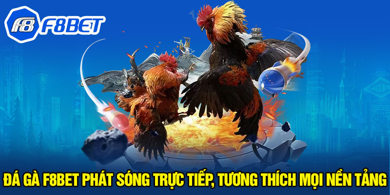 Đá gà F8BET phát sóng trực tiếp, tương thích mọi nền tảng