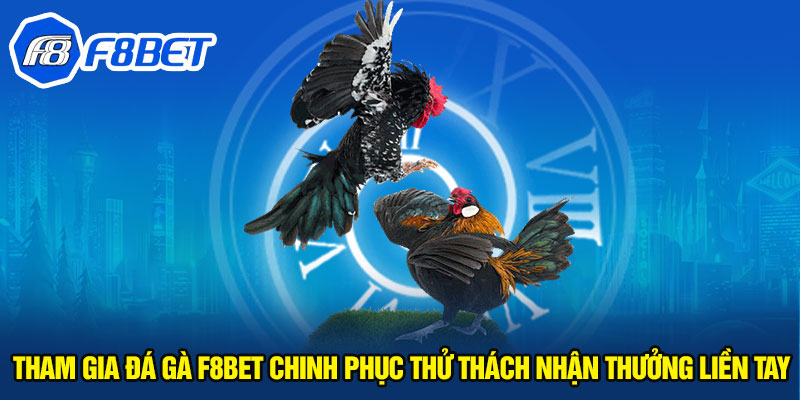 Tham gia đá gà F8BET chinh phục thử thách nhận thưởng liền tay