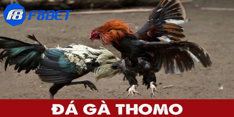 da ga thomo 0