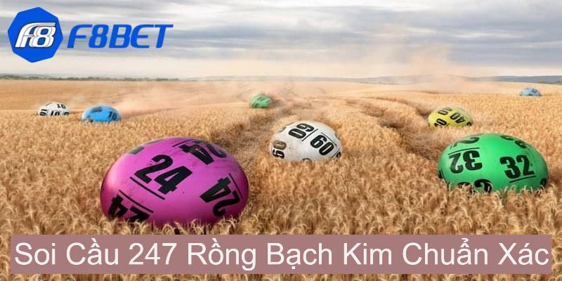 soi cau 247 rong bach kim 0